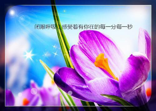 闪婚后夫人她成了炫夫狂魔阅读小说许欢颜顾墨白by蜡笔小丸子