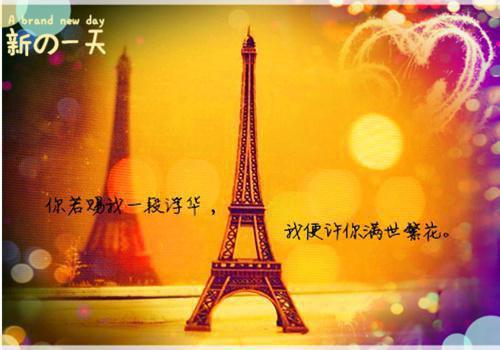全章节小说我的妈咪是活宝by禾子歌阅读