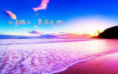娱乐天王林策不渡人间小说免费阅读