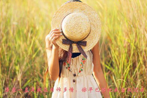 秦先生夫人叫你回家跪键盘温暖秦斯承免费阅读 作者墨十二
