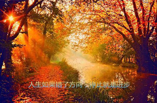 都市小说苏尘卢小美透视眼by大苏苏无删减阅读