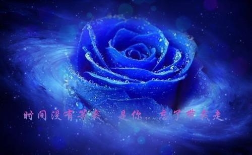 空间伤感日记