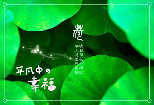 《不若深情》小说完整章节不若深情免费阅读