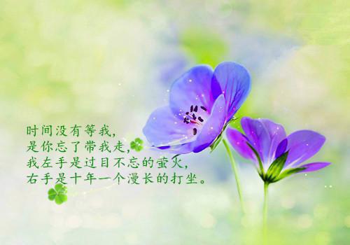 《宴总，夫人要被宠坏啦》完结小说(全文在线阅读)