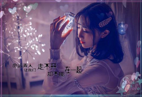 (已完结)暮色正好夕阳边上小说 顾倾心许木目录阅读