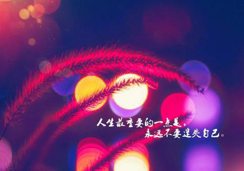 读书乐作文300字
