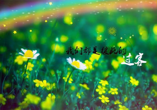 学自行车作文300字