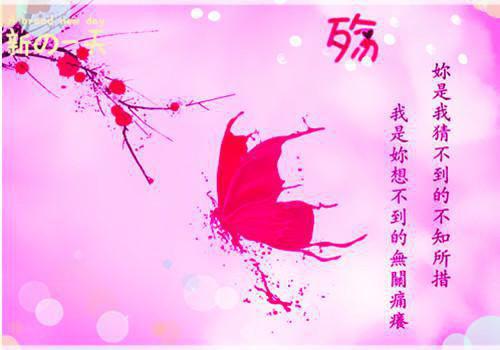 假千金又狂又傲小说 假千金又狂又傲免费阅读