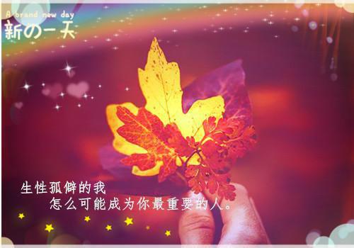 仙武狂医小说(连载中)楚天龙沈小倩楚晓晓章节阅读