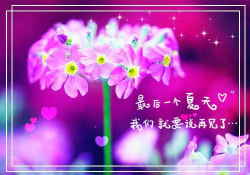 2021年高考满分作文浙江卷：与“虚拟”保持一定距离