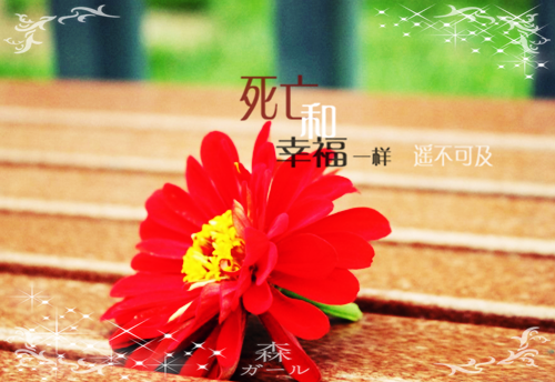 傲娇君上又黑化了小说古玥颜易星河热门小说完整版阅读
