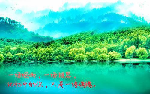虐心你真的不能原谅我吗小说苏心棠江云城李梦整本阅读