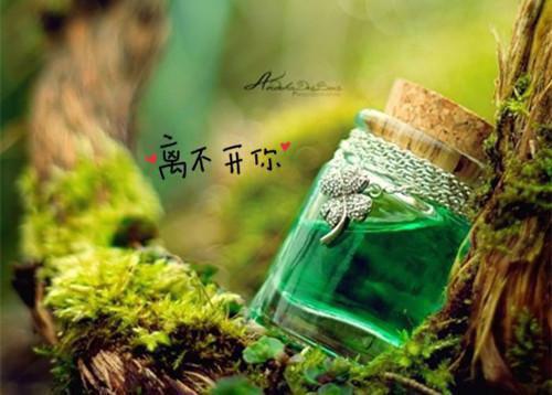 坚持的格言