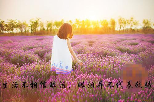 最新小说冷宫废后冷落月免费阅读