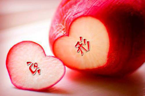 独宠医妃全文免费阅读(菩提苦心)完结版阅读