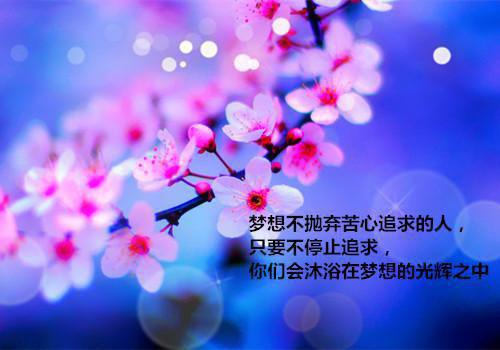 林沐瑶陆明奕叶铮全文免费阅读(重启她心:她失我心小说）全文免费林沐瑶陆明奕叶铮读无弹窗大结局_ 重启她心:她失我心小说林沐瑶陆明奕叶铮免费林沐瑶陆明奕叶铮读最新章节列表（林沐瑶陆明奕叶铮）