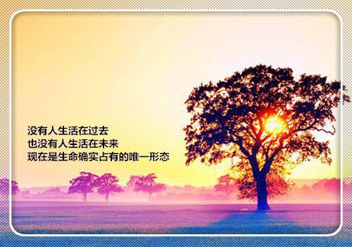 难忘的那一次作文