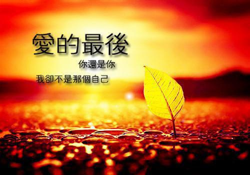 沈从文：绅士的太太