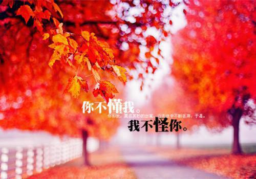 无敌鉴宝大师李天明沈凤娟韩若水最新章节精彩试读