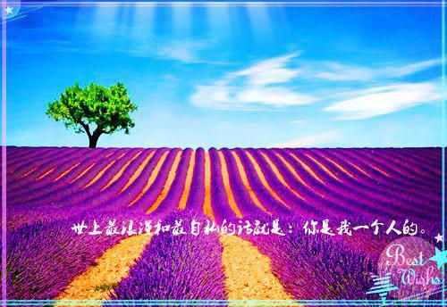 纪爷的小祖宗又掉马甲了完结版小说_乔薇纪临寒全文阅读