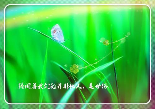 诗经：黍苗