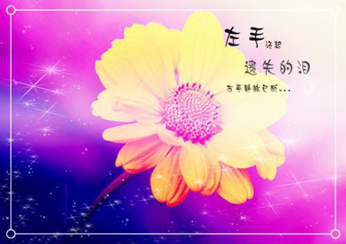 日本相亲综艺告诉你：真正的有钱人，原来有这3种特质