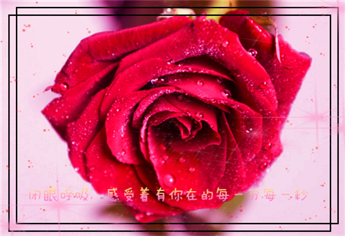 《表白的话》完结小说(全文在线阅读)