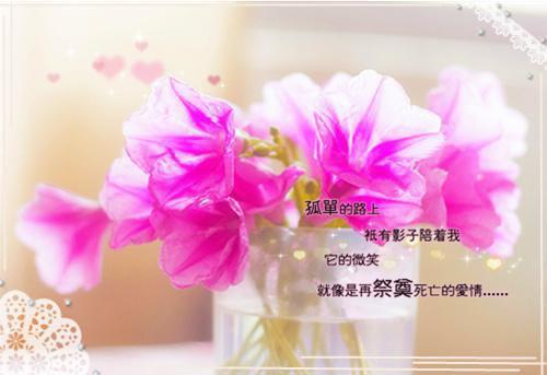 领证五年认错老公后我负全责（陆宴池江暖小说）全文免费阅读无弹窗大结局_领证五年认错老公后我负全责全文免费阅读
