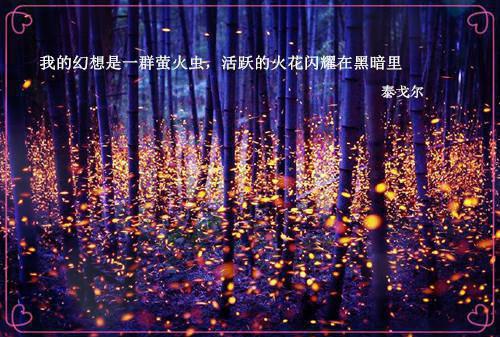 送行读后感