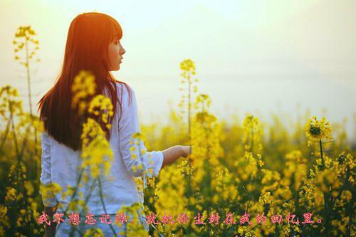 痛爱一生小说 苏茉黎慕驰野章节目录阅读