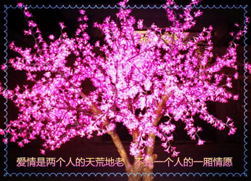 关爱空巢老人的作文