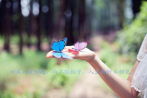 捡漏大亨周峰何娜 捡漏大亨免费阅读