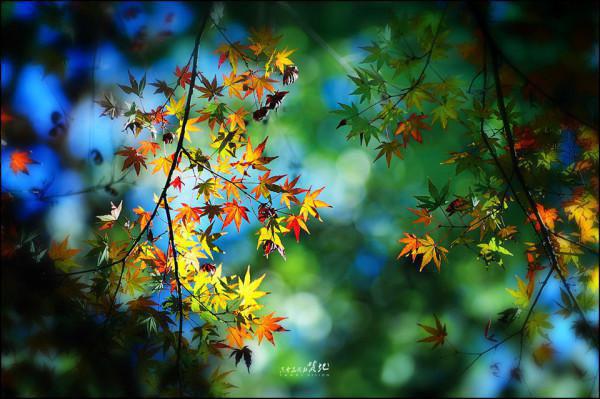 教师节感恩