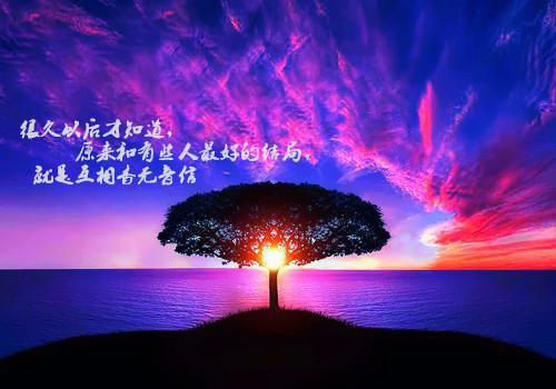 穿越到大唐成亲古沐鱼小说最新章节阅读