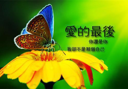 河东狮吼经典台词