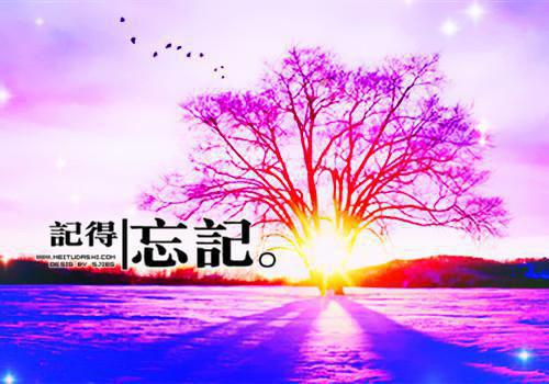 小学运动会入场口号