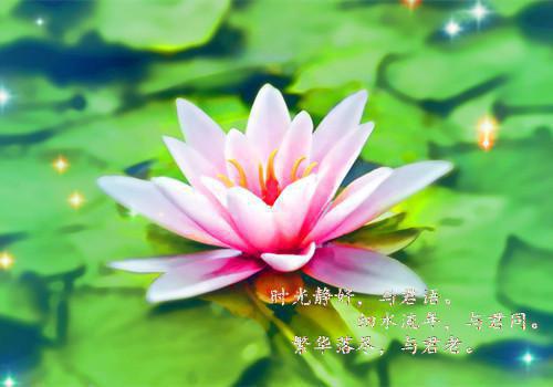 李云初燕墨染小说 李云初燕墨染免费阅读