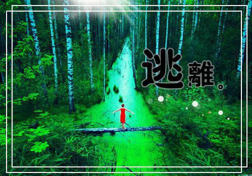 完结版小说鉴御至尊全文免费阅读