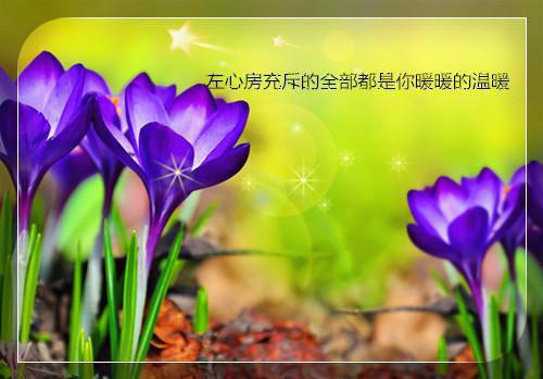 绝命狂婿小说万言蓝清凌全本阅读