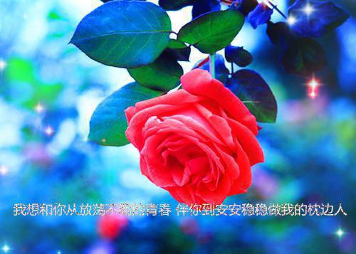 爽文回到大明小说李植崔合完结版阅读