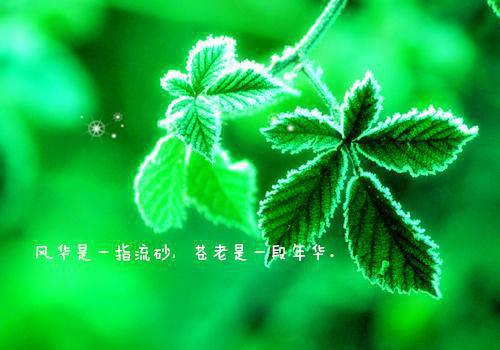 贵妃只想做咸鱼大果粒小说免费阅读