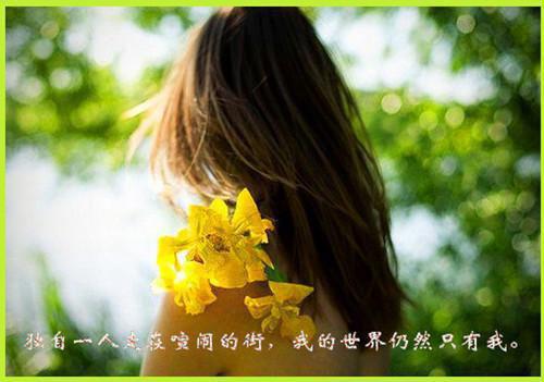 奈何明月照沟渠：结局+番外免费品鉴_起点章节+后续（贺照野温婉婉）