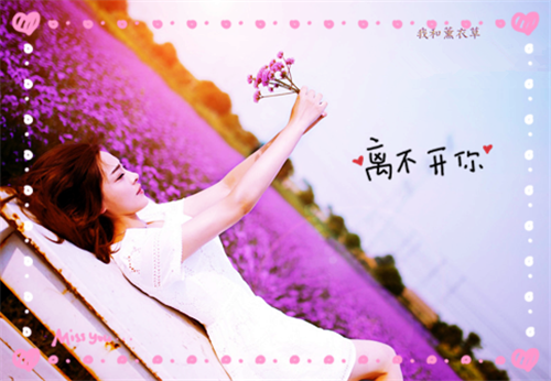南树树的小说离婚后前妻桃花泛滥季娉婷,傅司泽完结版阅读