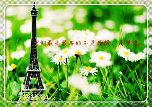 完结版小说从和大明星离婚到千亿影帝全文免费阅读