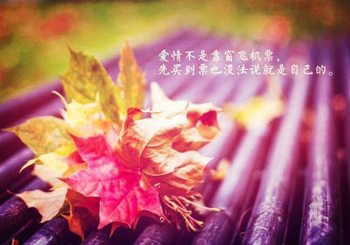 开局被诅咒，我一个反杀封神提笔往事在线阅读-开局被诅咒，我一个反杀封神全文免费阅读