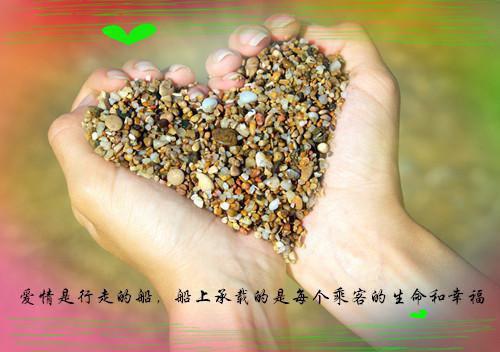 2022205许芊芊晏呈小说 2022205许芊芊晏呈免费阅读