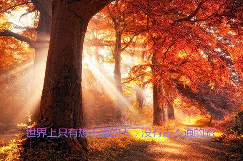 我爱我的家乡作文500字