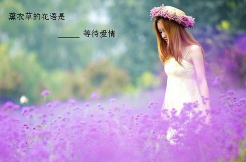 一胎四宝总裁爹妈咪甜如蜜小说 沈玥安芊芊梦泽安阅读