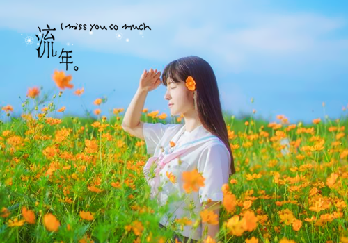 源世凡心小说时镜白羽全集阅读