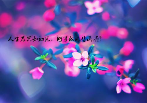 《为了他跟我离婚》小说完整章节为了他跟我离婚免费阅读